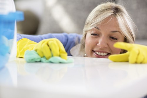 Enzyme cleaning process for pet odour removal on upholstery