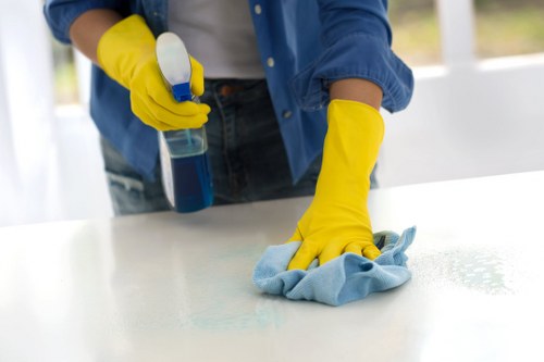 Upholstery stain treatment service in Cann Hall
