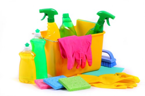 Cleaning professional checking floor safety before starting work