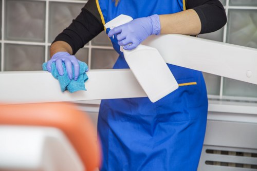 Professional carpet cleaner treating a domestic carpet stain